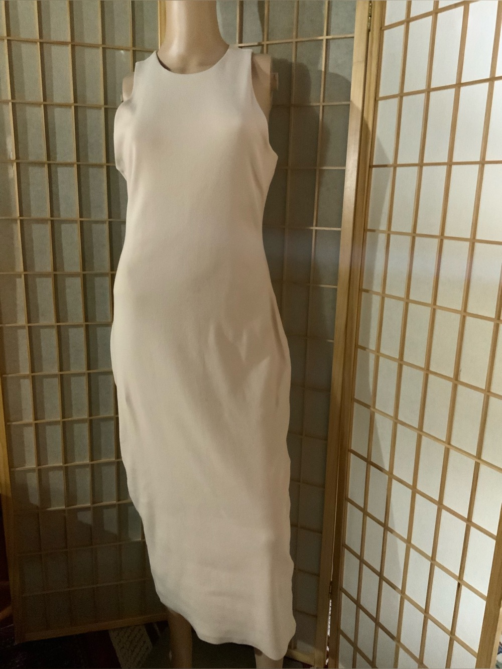 Express Cream Sleeveless Maxi Dress